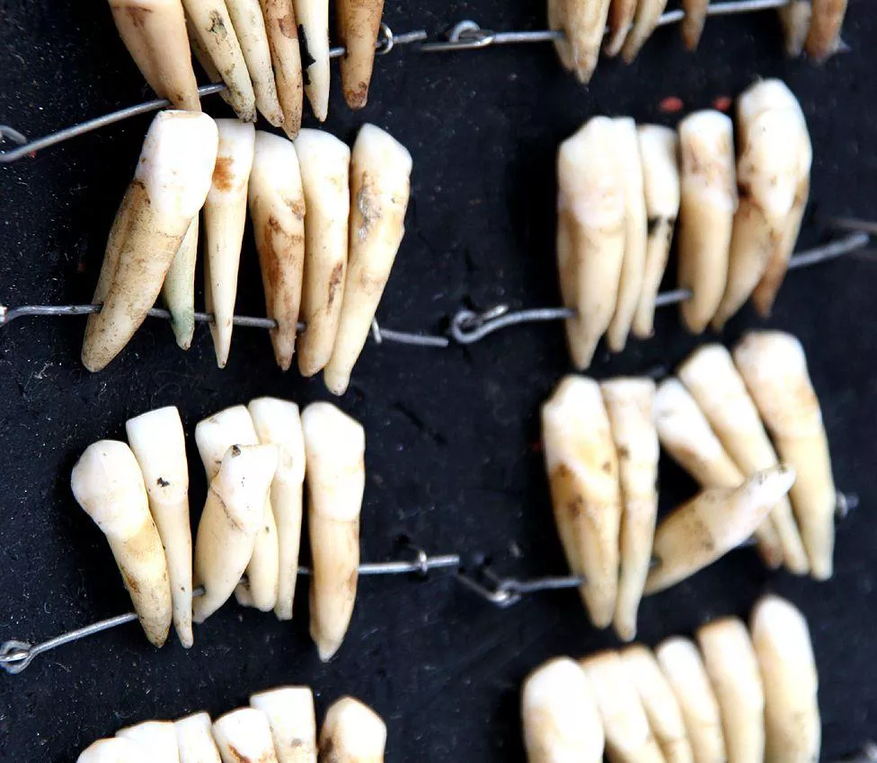 83561927_976-bda-col.-41