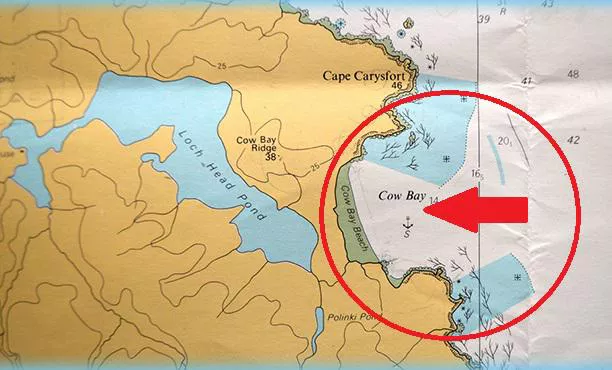 multimedia.normal.800711be8239a326.76616361355f6e6f726d616c2e6a7067