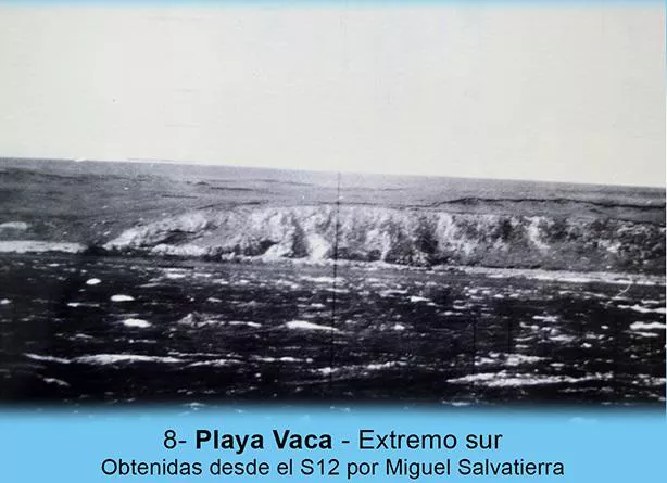 multimedia.normal.88101977f67b11c3.76616361345f6e6f726d616c2e6a7067