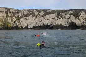 images - 2025-12-05T192429.400