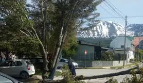 images - 2025-11-09T190209.449