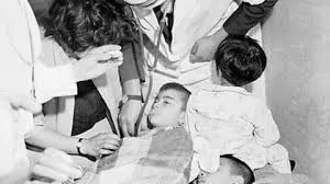 images - 2025-11-25T075826.645