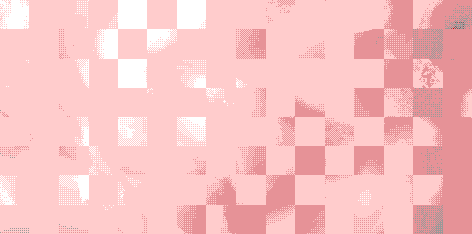 copito-rosa-corte