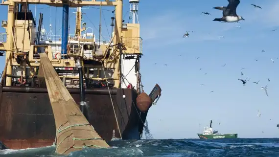 pesca-danina-en-mar-argentino-2276701