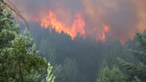 el-fuego-en-la-zona-de-el-bolson-sigue-fuera-de-control-1963373