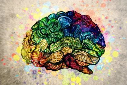 cerebro-coloreado-420x280
