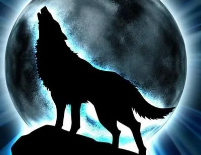 lobo
