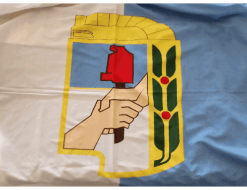 bandera-peronista