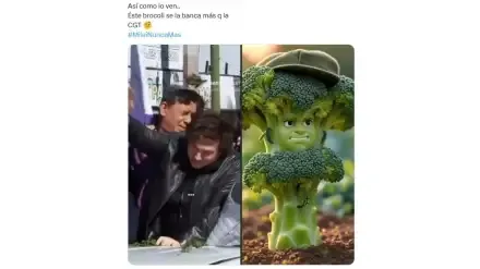 meme-del-brocoli-contra-milei-2089905