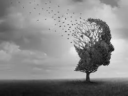 images - 2025-06-26T124826.468