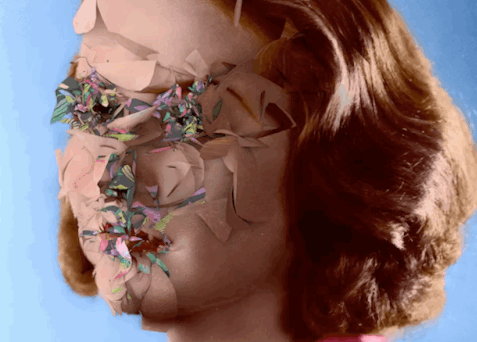 Eden-David-Szauder-ezgif.com-crop