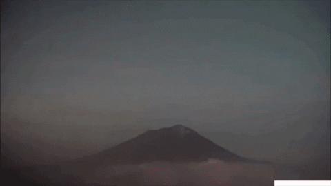 Animated-GIF-downsized_large-4