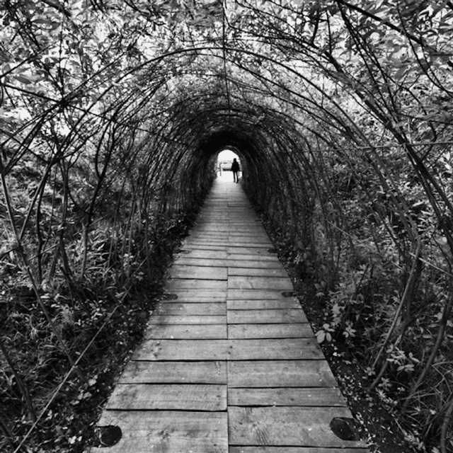 1441746348dariusz_klimczak_01_562c73512a6b223d17f61541