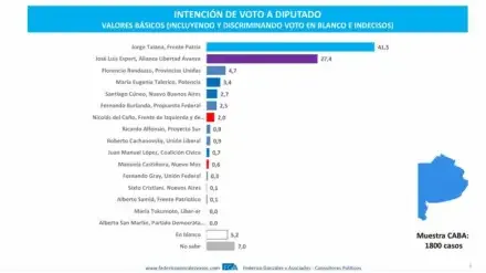 encuesta-federico-gonzalez-y-asociados-2107940