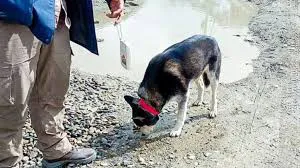 images - 2025-11-10T175305.922