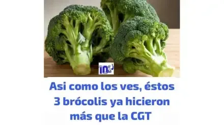 meme-del-brocoli-contra-milei-2089902