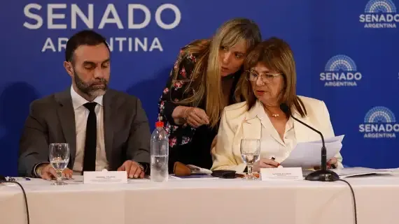 bullrich-senado-18122025-2156203