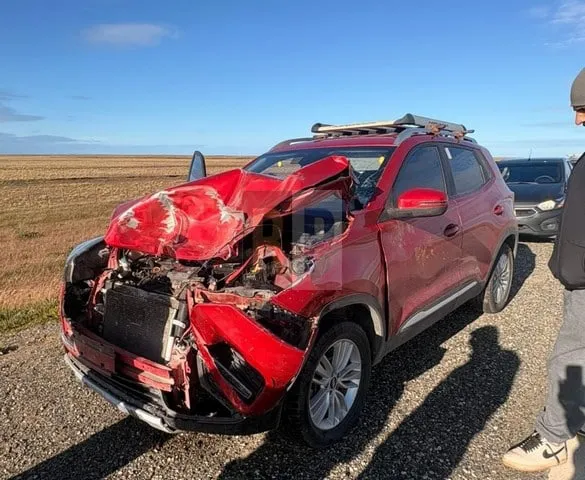 choque-guanaco-estancia-sara