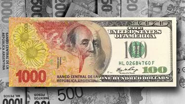 peso-dolarizandose-blanco-y-negrojpg