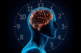 images - 2025-12-06T191823.430