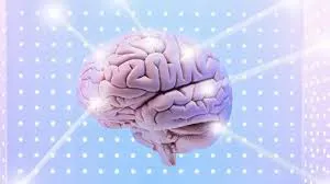 images - 2025-06-25T180625.367