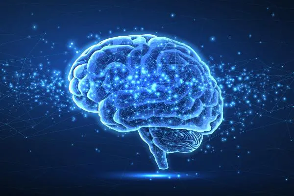 istock-2160062160_600x400