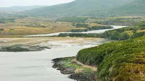 images - 2025-11-14T183438.598