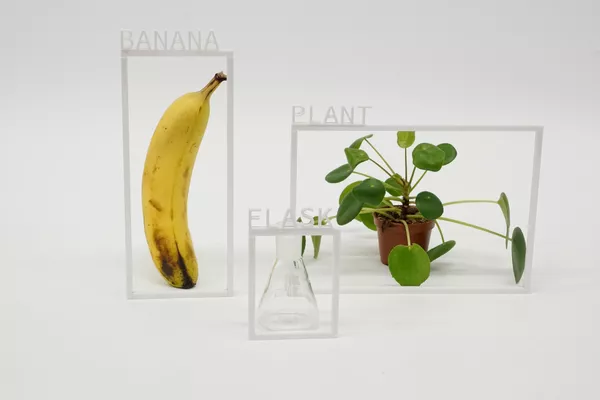 Max-Gruber-Banana-Plant-Flask-Better-Images-of-AI
