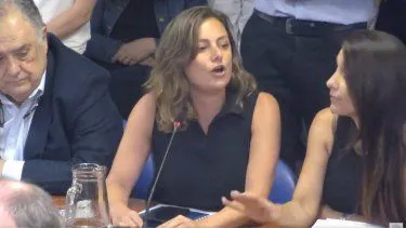 vanesa-siley-diputados-comisiones
