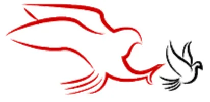 Halcones-y-palomas-1