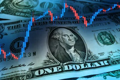 la-cotizacion-del-dolar-blue-y-el-oficial-este-HADKF773YRHTFDJ6D3PTVLRRHE