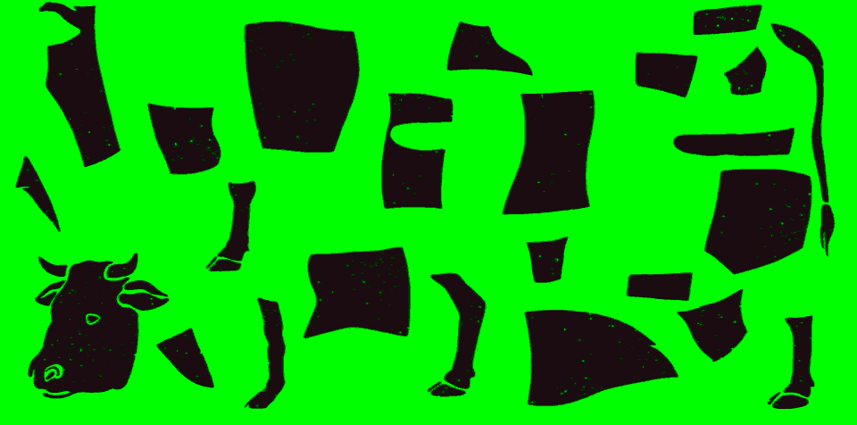 vaca