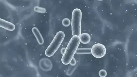 la-supergripe-h3n2-un-subclado-k-de-la-influenza-a-mas-transmisible-2160789