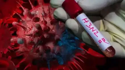 todos-los-detalles-sobre-la-nueva-gripe-h3n2-2158993