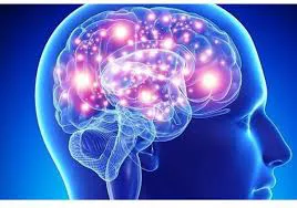 images - 2025-07-18T121811.653