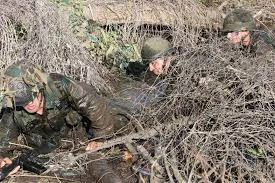 images - 2025-11-15T193659.649