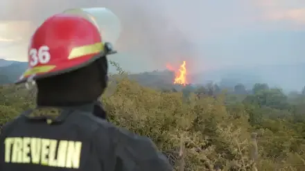 un-bombero-de-trevelin-observa-las-llamas-que-se-elevan-en-el-parque-nacional-los-alerces-en-chubut-2174874