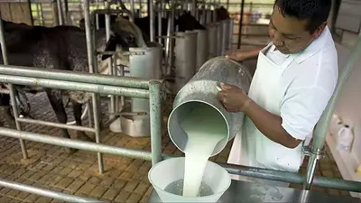 leche-jpg.
