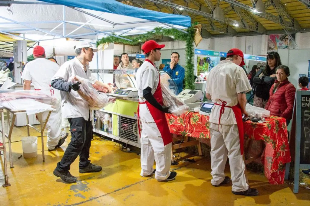 photo_5053158908309998452_y-1024x682