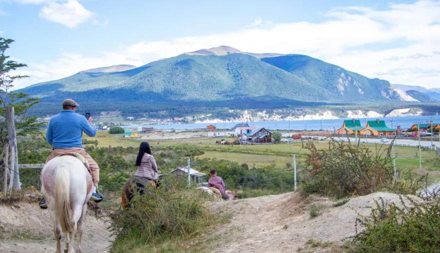 20260406113349_photo-5089456166554766304-y