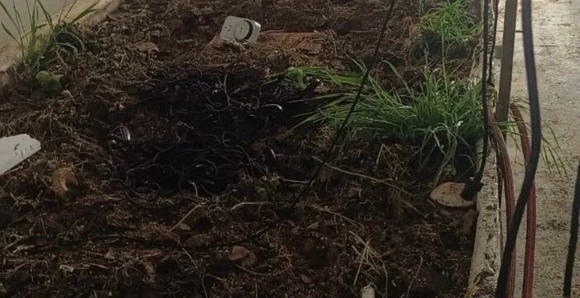 multimedia.normal.9712325fa28a0a06.bm9ybWFsLndlYnA=