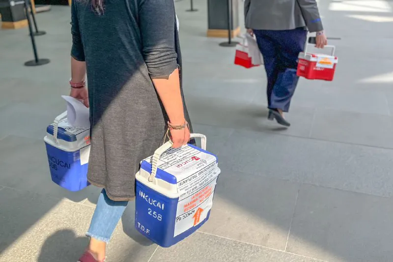 ff0f1246-372b-4906-bcd2-4dbc5d8942e0