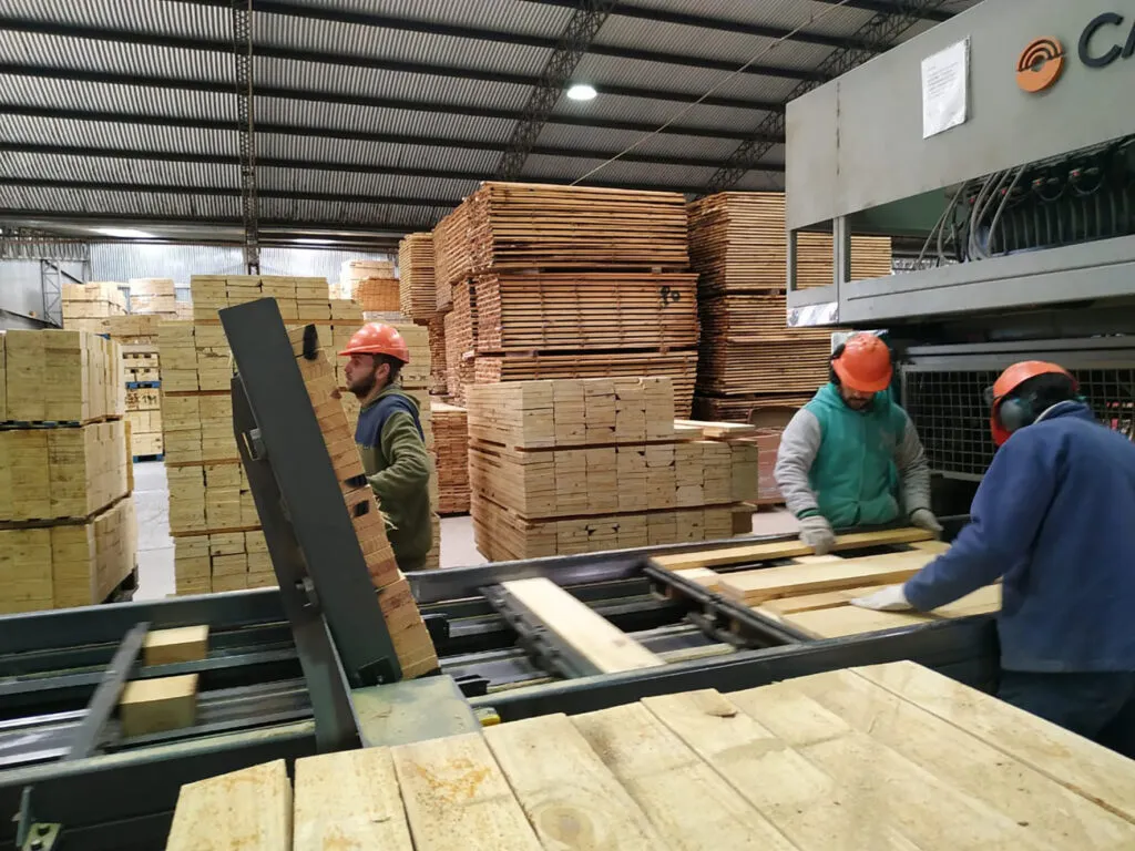 forestal-madera-1024x768