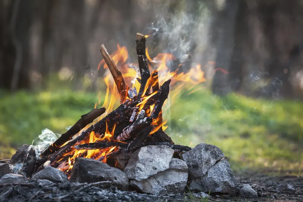 multimedia.grande.b11019c10e798095.cG9yX3F1ZV9sYV90aWVycmFfZGVsX2Z1ZWdvX3NlX2xfZ3JhbmRlLndlYnA= (1)