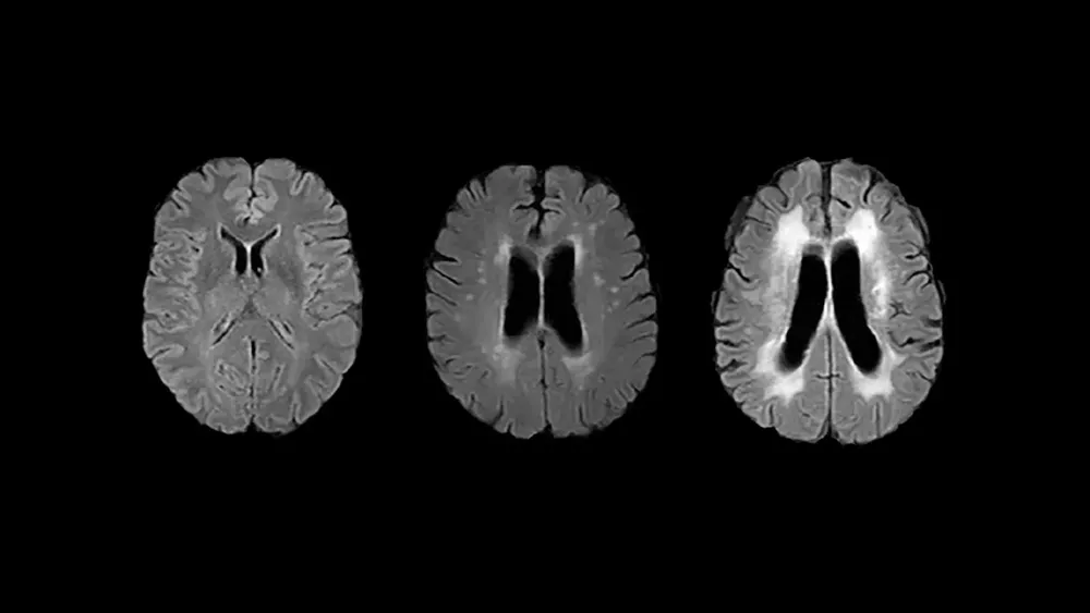 edat_biologica-1536x864