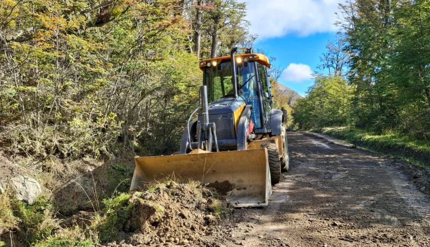 20260406101459_photo-5089456166554766287-y