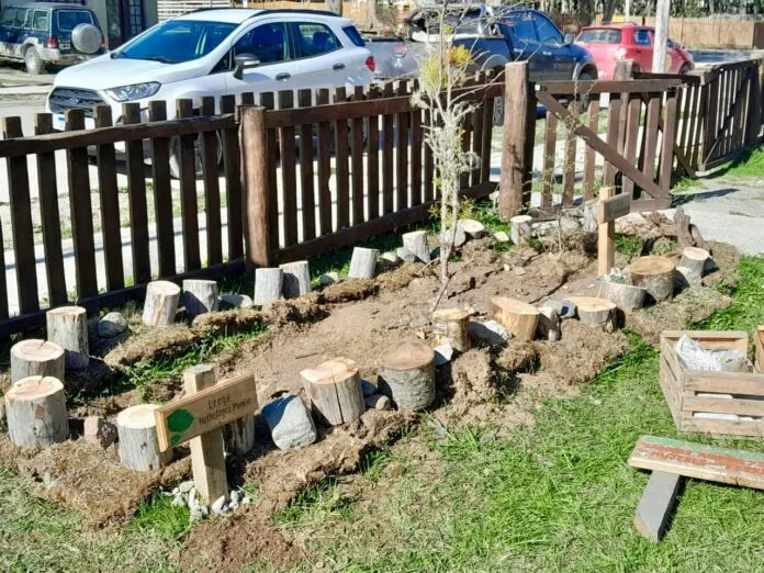 WhatsApp-Image-2024-12-05-at-14.20.26-696x522