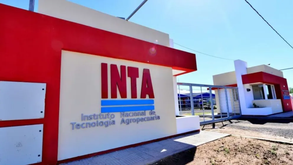 md - 2025-05-06T194459.098