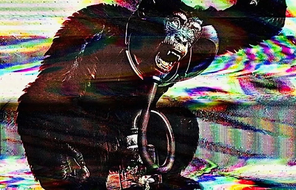 distopia-960x616