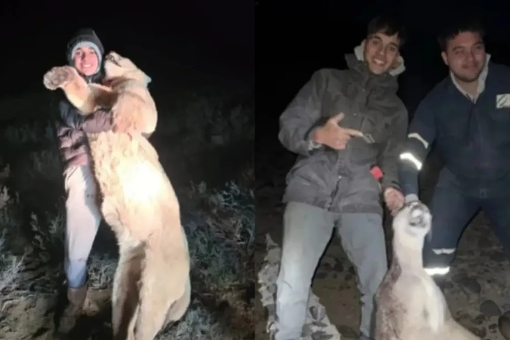 multimedia.normal.9f3ff7c68980155a.bm9ybWFsLndlYnA=